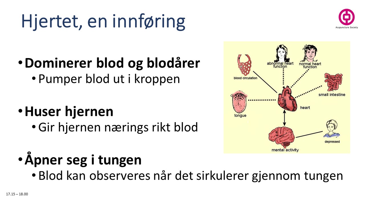 Seniorakupunktur 2 TRD 2018 12